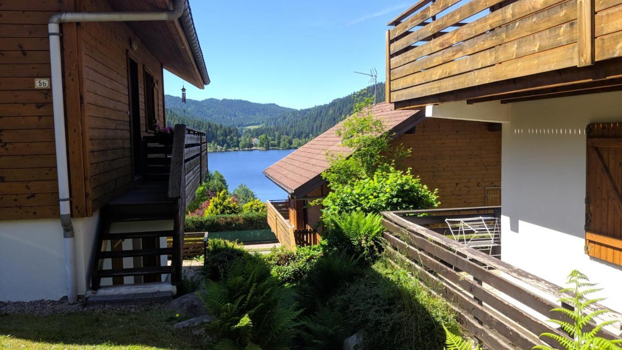 ג'רארדמר Chalet Vosgien מראה חיצוני תמונה